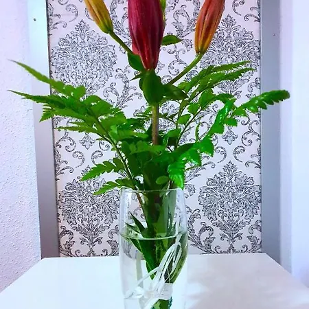 Principado A Διαμέρισμα